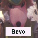 Bevo the Fox