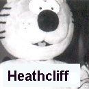 Heathcliff Costume
