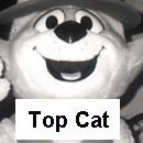 Top Cat Costume