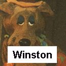 Winston Wolf Costume